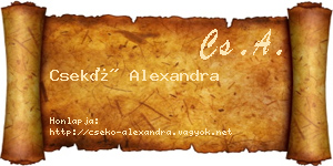 Csekő Alexandra névjegykártya